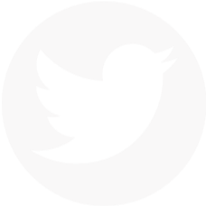 Twitter icon